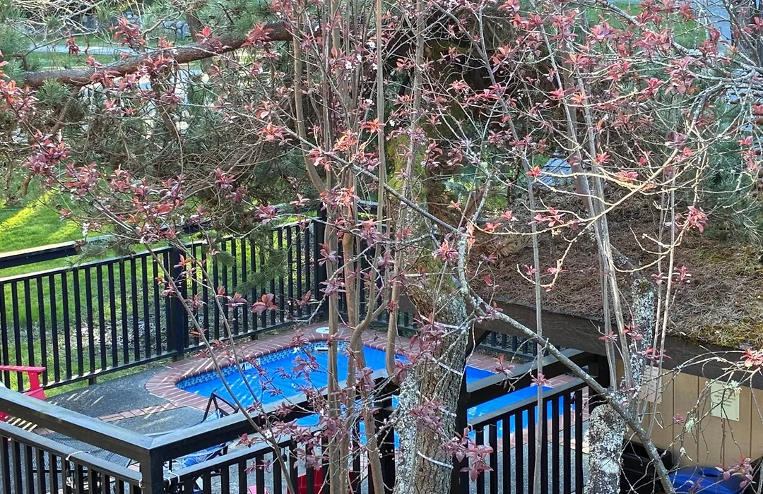 Discovery Inn-1