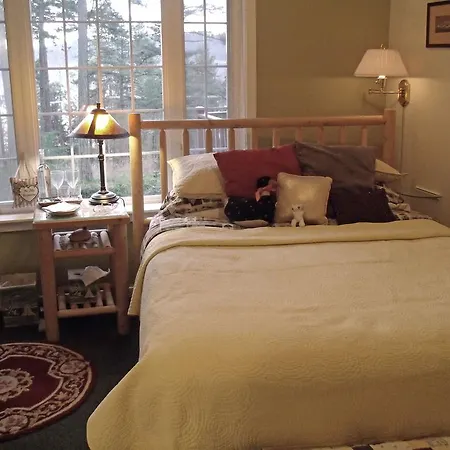 Inn To The Woods-3